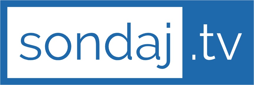Sondaj Online #1